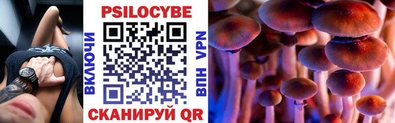 Галлюциногенные грибы GOLDEN TEACHER  где можно купить наркотик  Снежногорск 